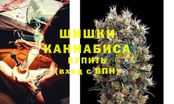 гашик Аркадак