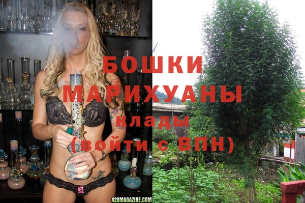 гашик Аркадак