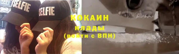 гашик Аркадак