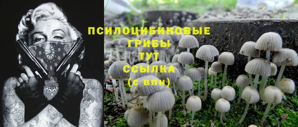 гашик Аркадак