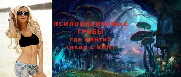 экстази Переславль-Залесский