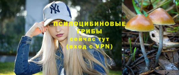 гашик Аркадак