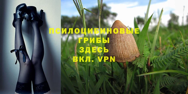 гашик Аркадак