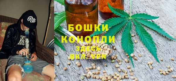 гашик Аркадак